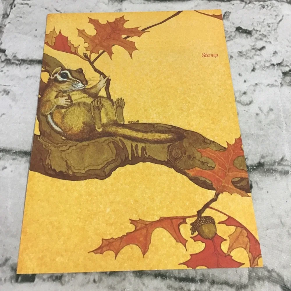 Vintage Fold And Send Notecards Lot Of 4 in 2 Styles Chipmunk Tree Frog Nature